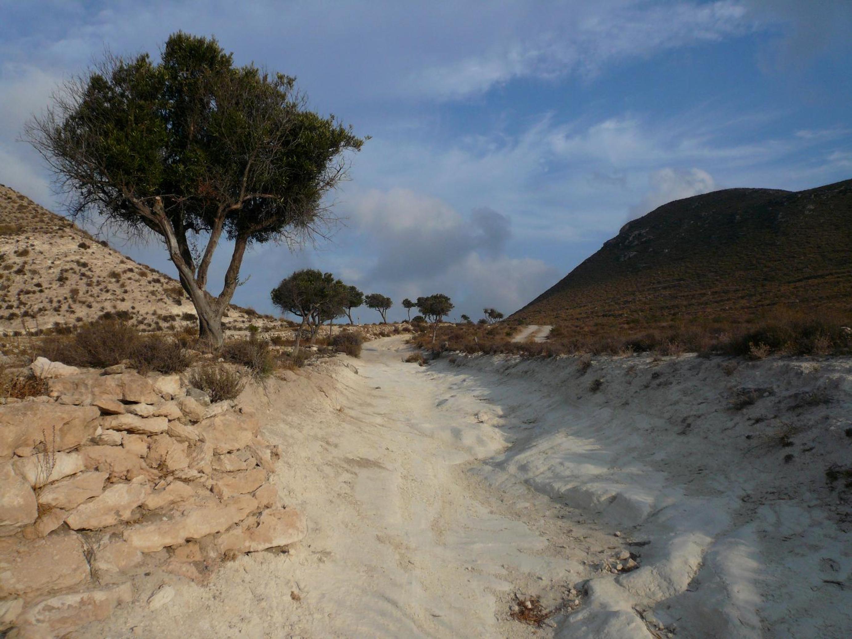 Photo 43