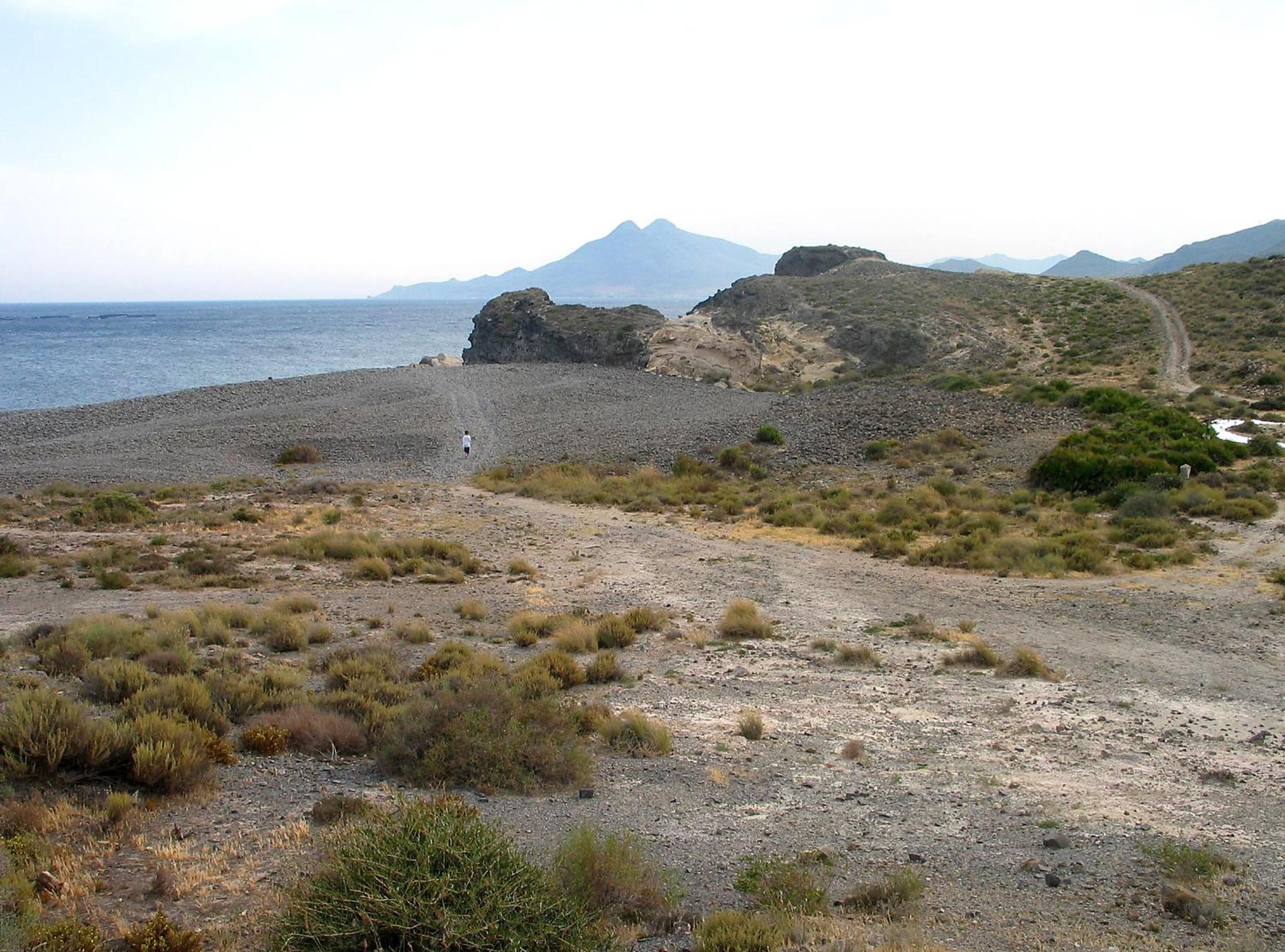 Photo 44