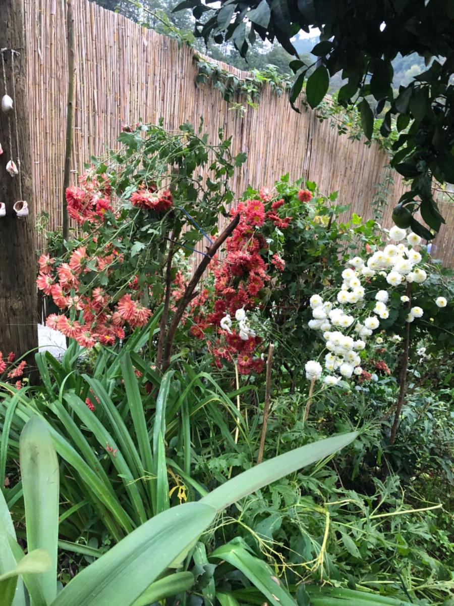 Hotel Bera Bungalov - Image 1