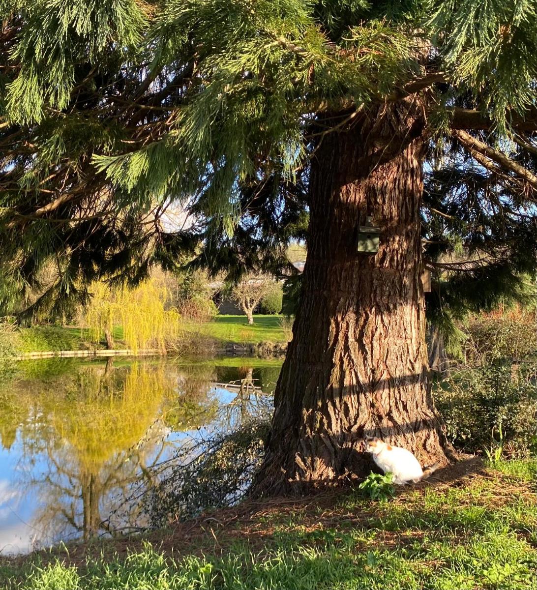 Lakeside Town Farm view 5
