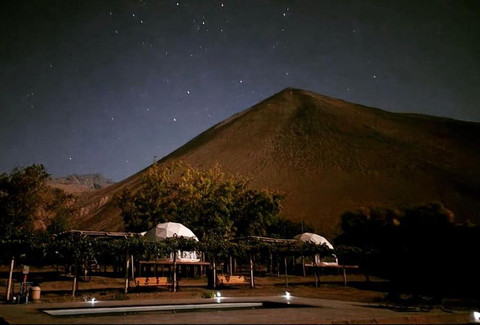 Glamping Viñas de Elqui
