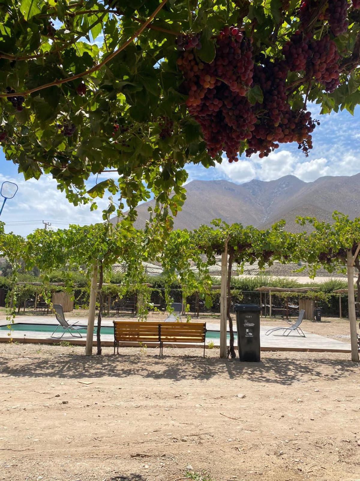 Glamping Viñas de Elqui