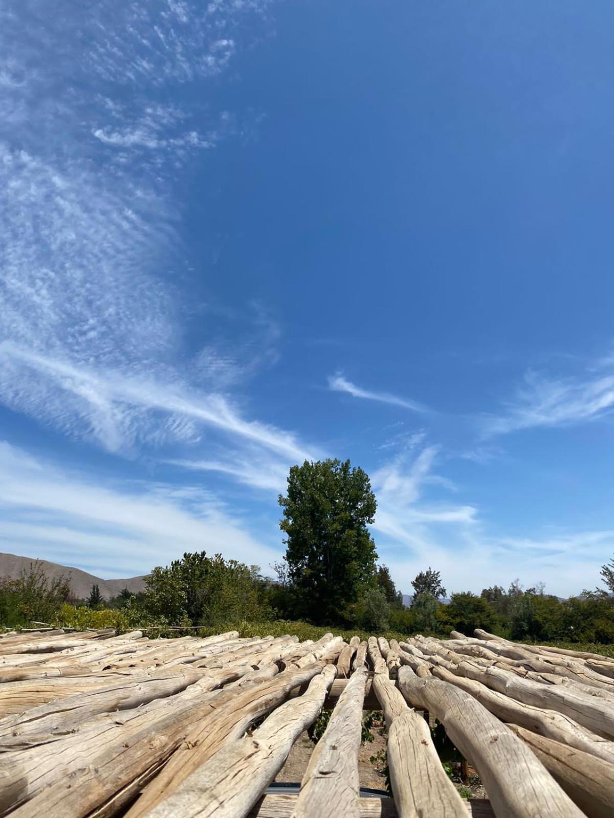 Glamping Viñas de Elqui