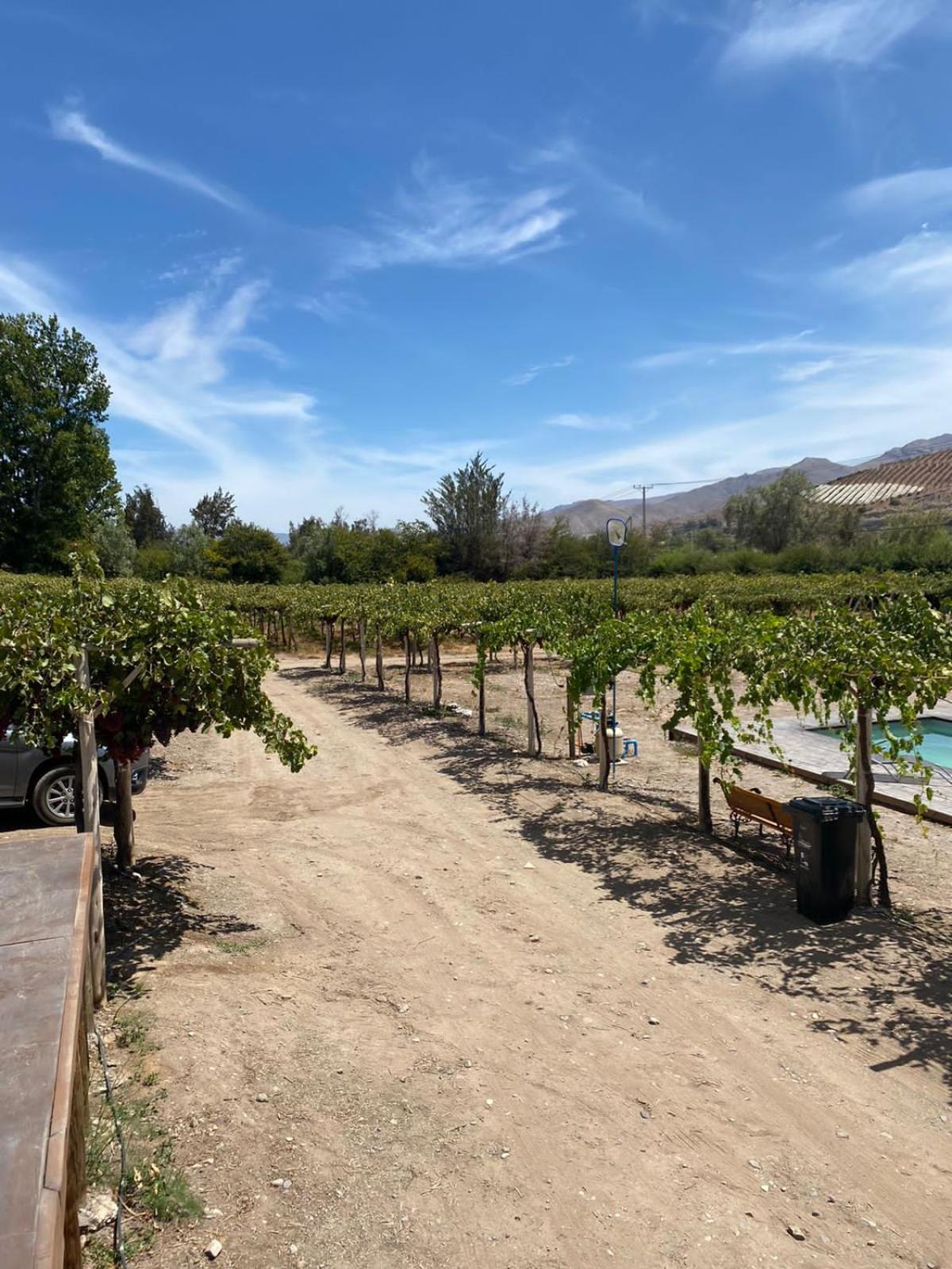 Glamping Viñas de Elqui