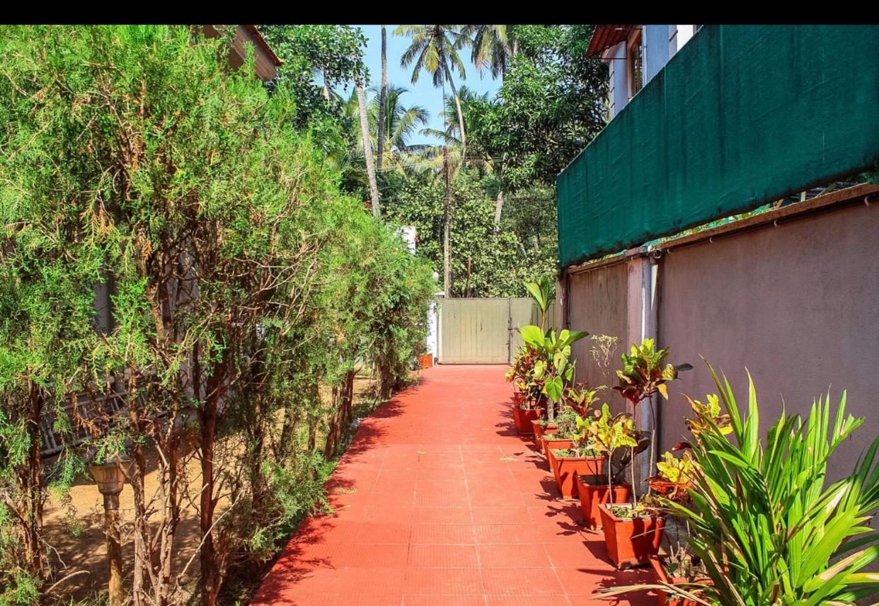 Franria Villa Guest House view 5