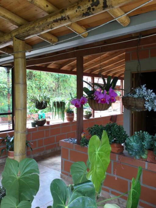 Casa de Campo vía El Peñol Guatapé