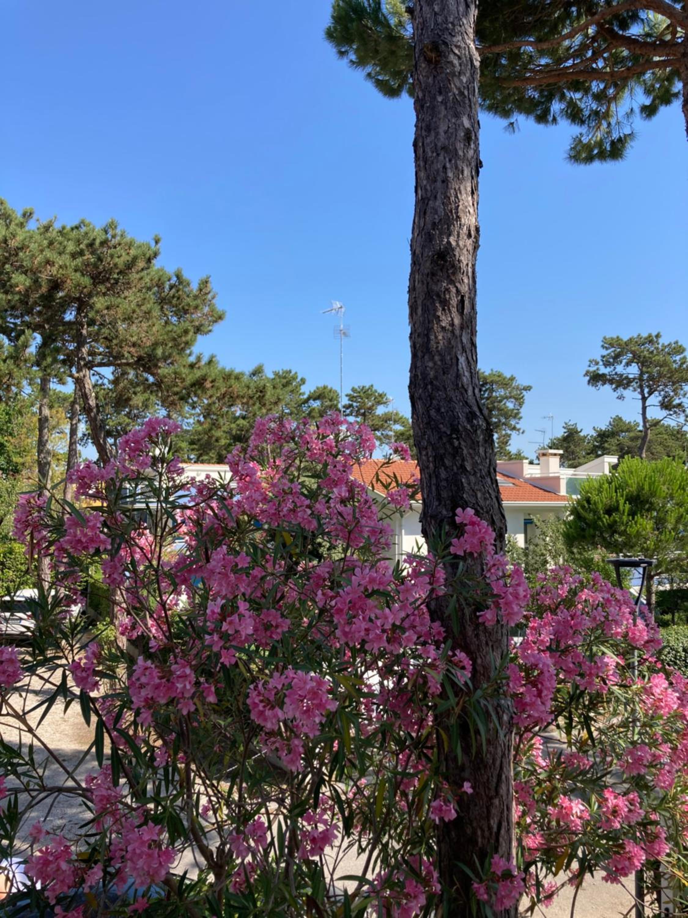 Villa Vittoria
