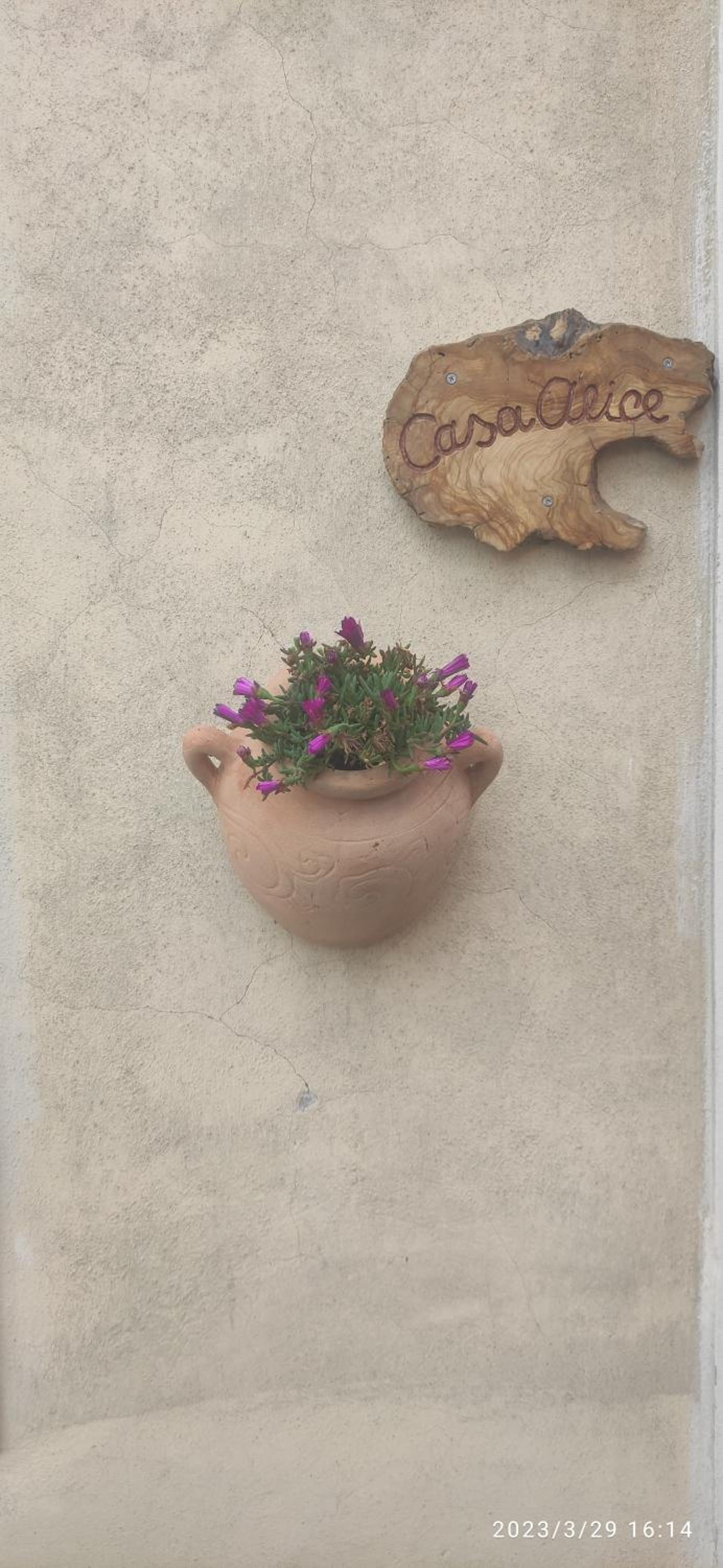 CASA ALICE