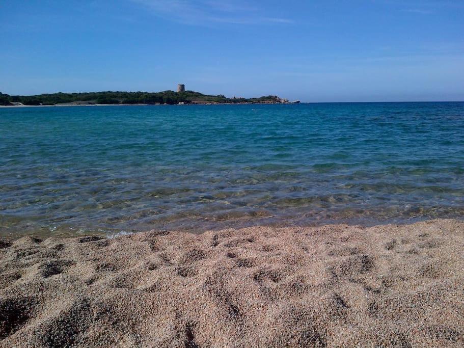 Ampio trilocale climatizzato in Villaggio con piscina estiva 400m dal mare in Gallura view 2
