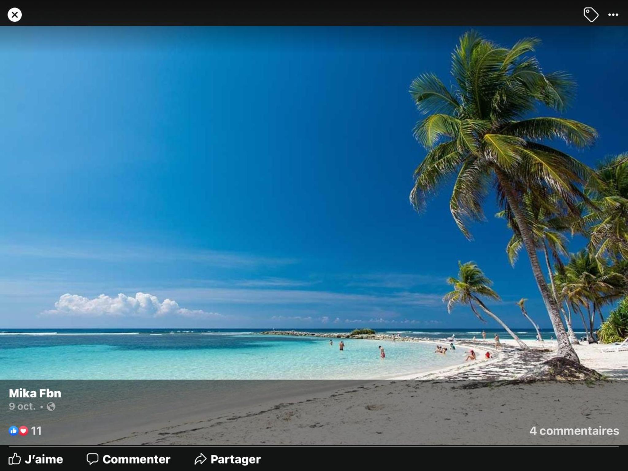 FLAMBOYANT St Francois view 5