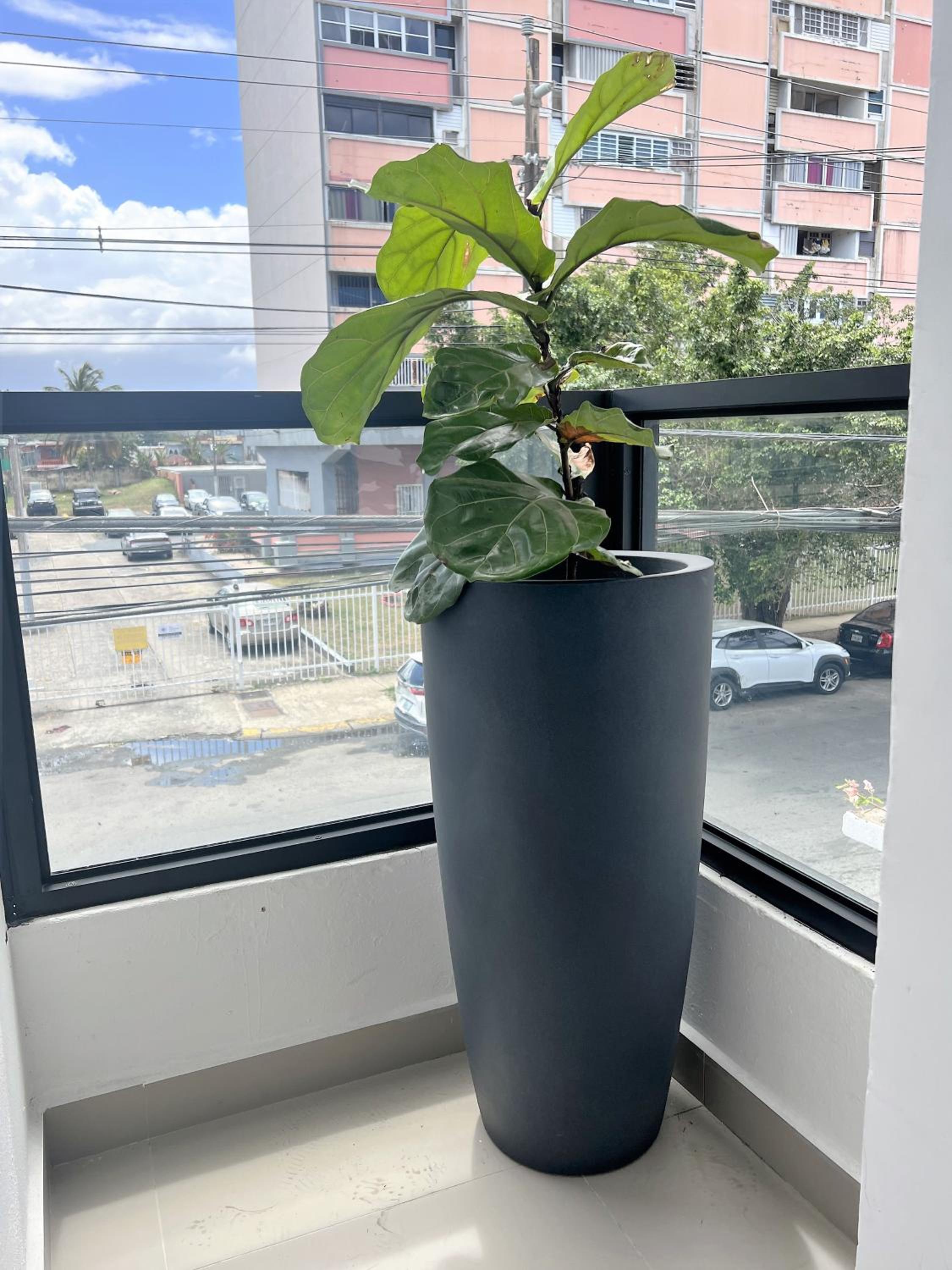 La Calma Poshtel - Property Image 7