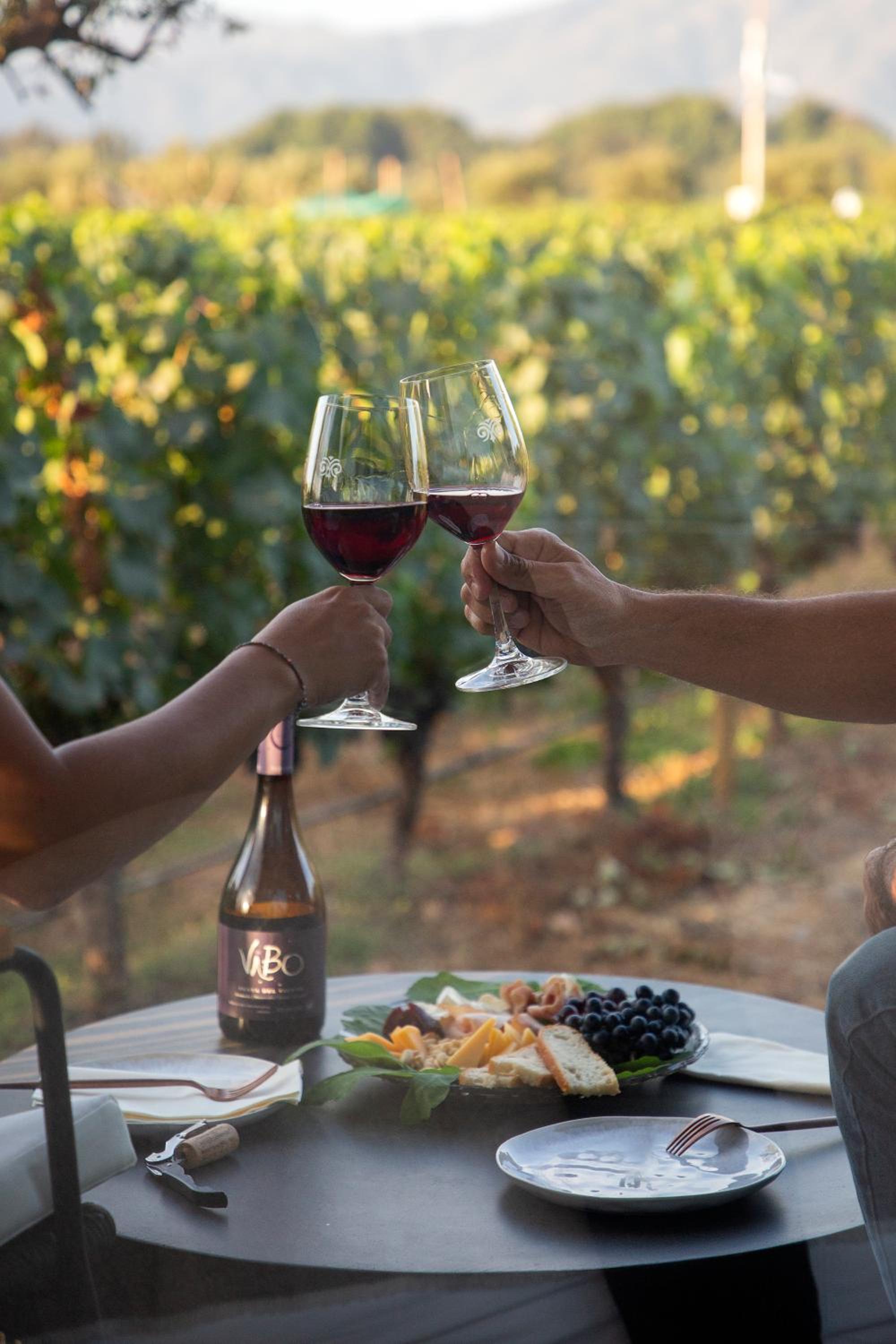 Vibo Wine Lodge At Viu Manent