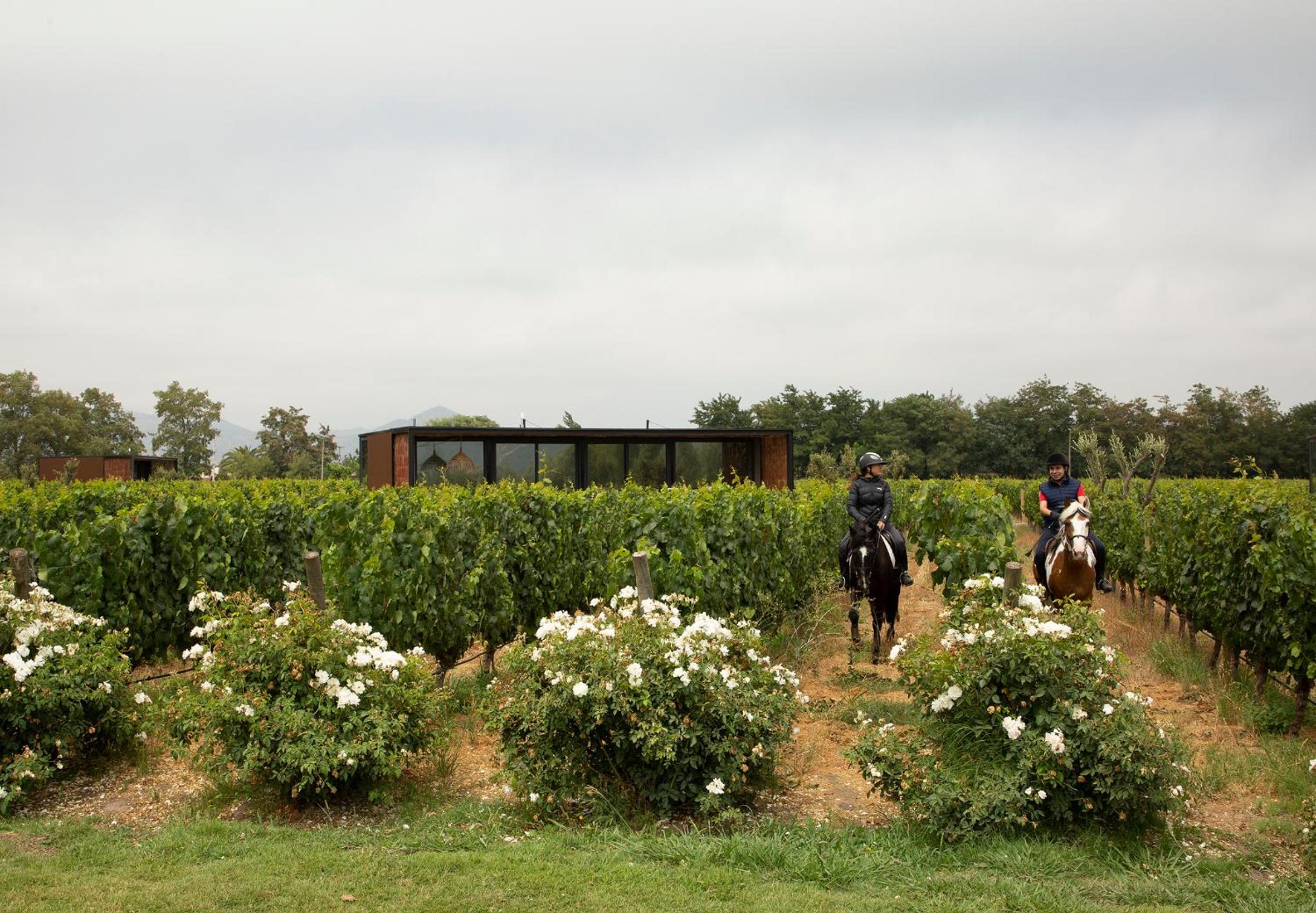 Vibo Wine Lodge At Viu Manent