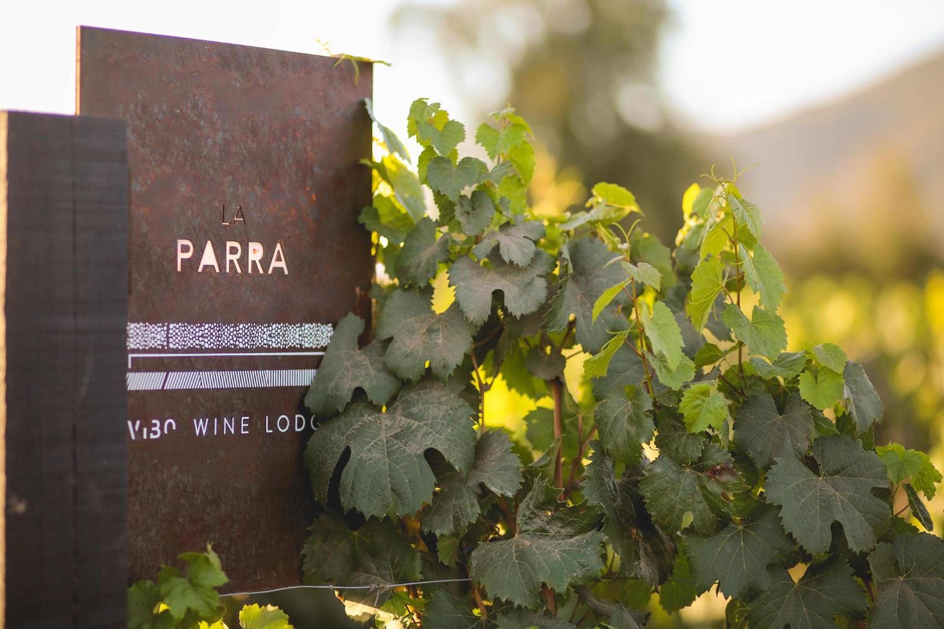 Vibo Wine Lodge At Viu Manent