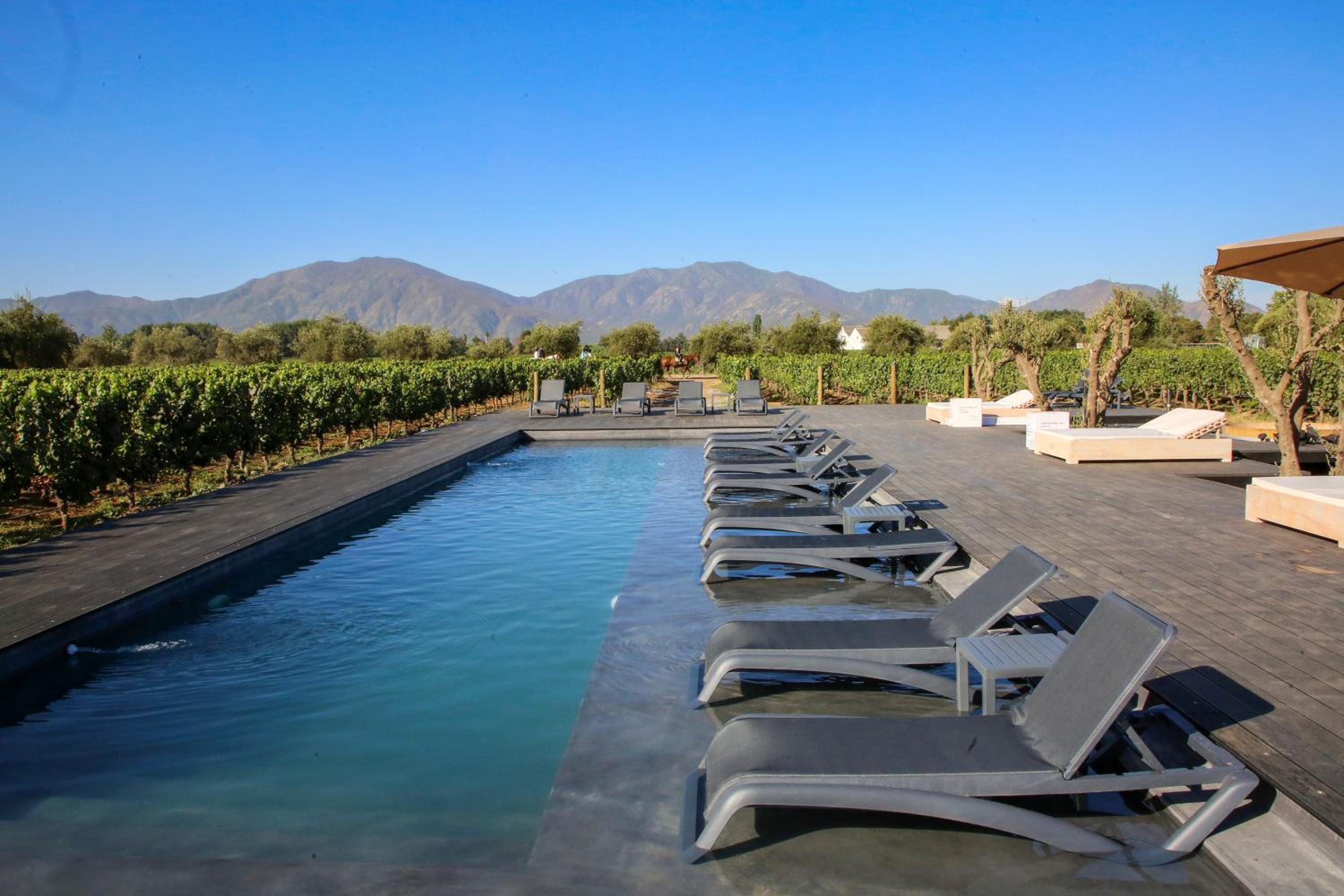 Vibo Wine Lodge At Viu Manent
