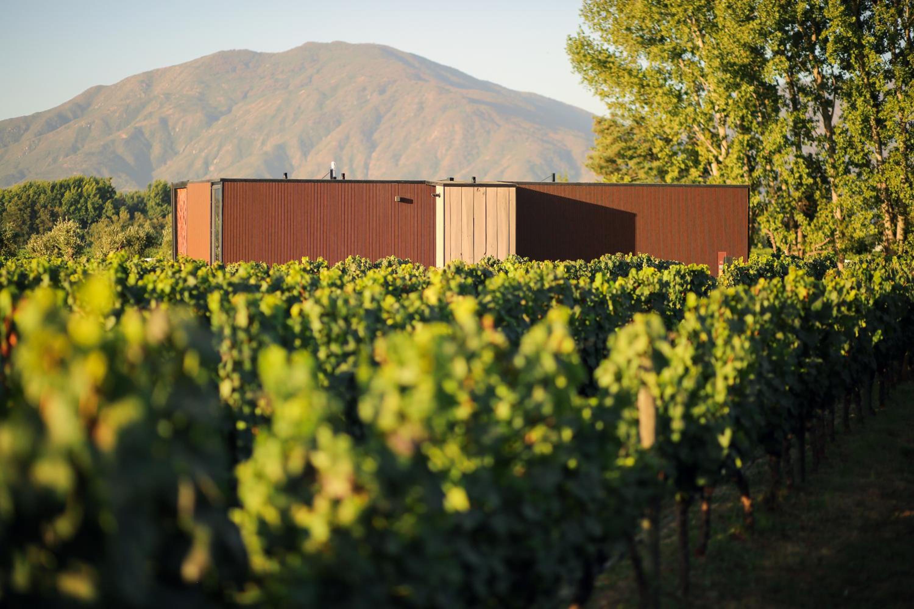 Vibo Wine Lodge At Viu Manent