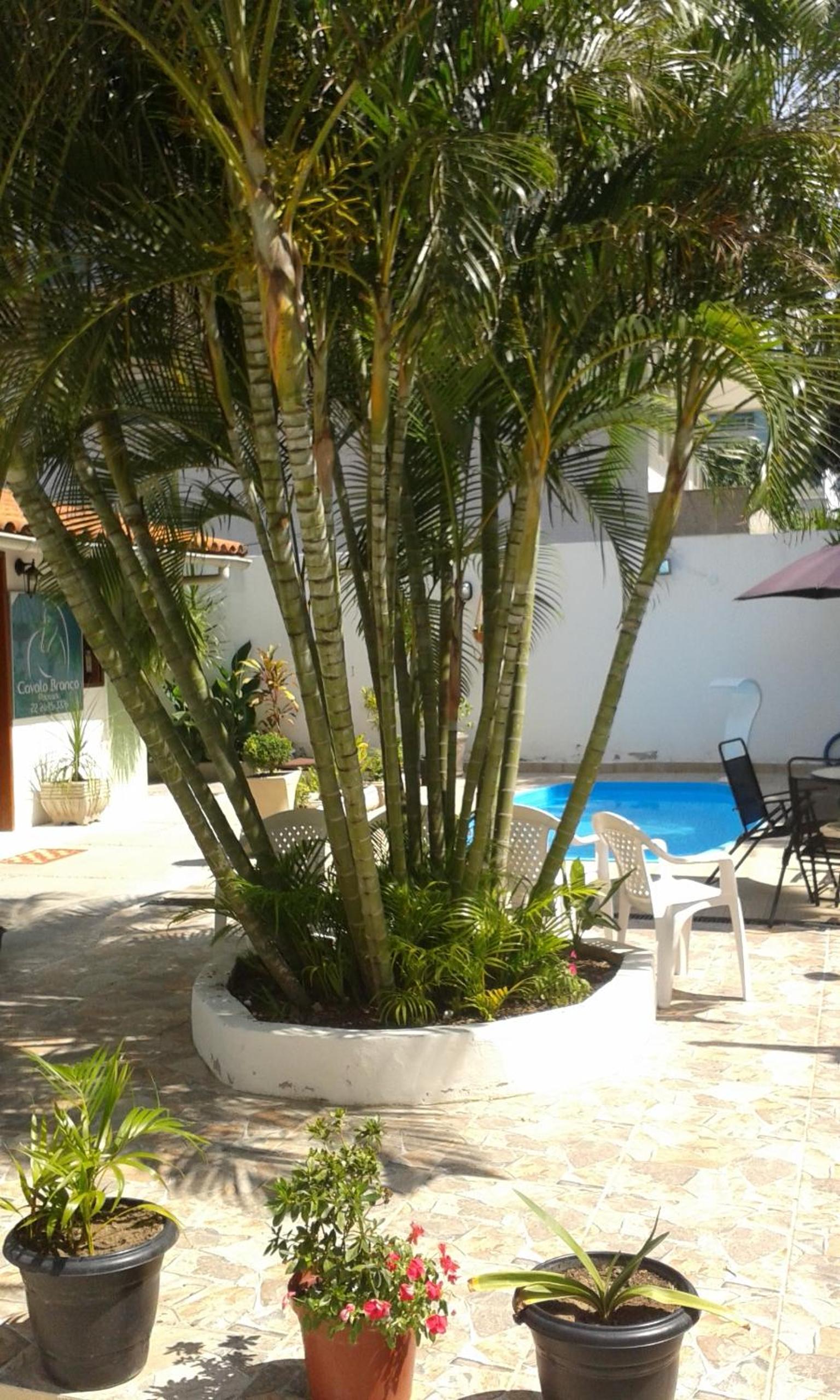 Pousada Cavalo Branco view 2
