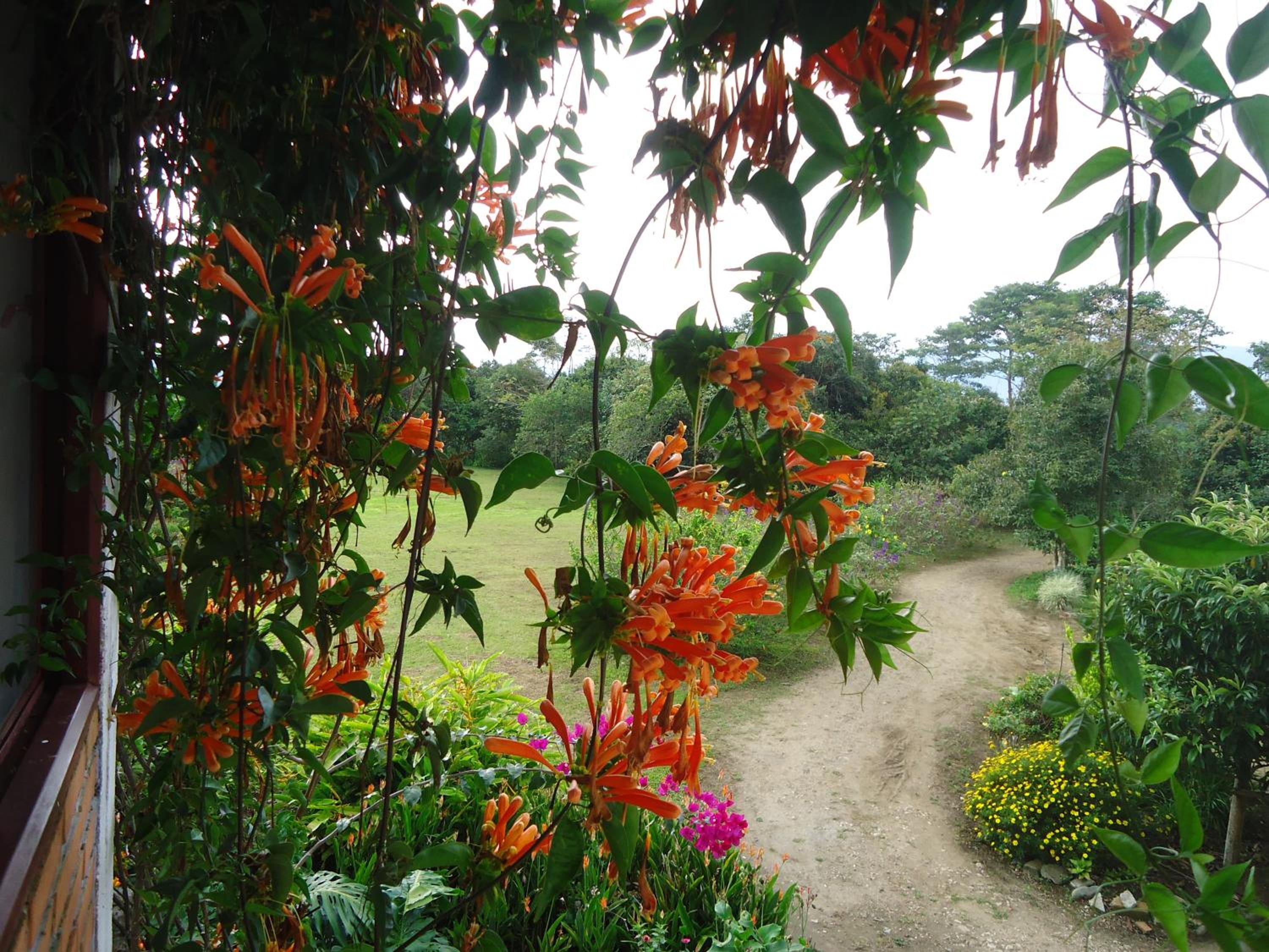 Hostal Pachamama