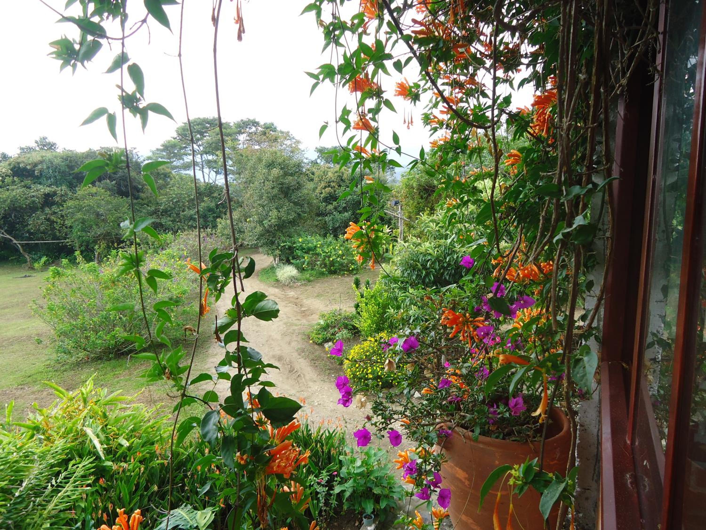 Hostal Pachamama