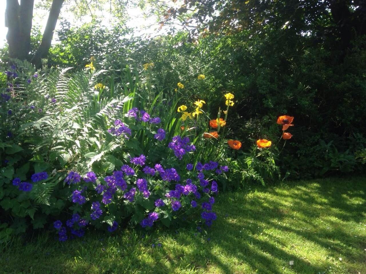 Photo 43