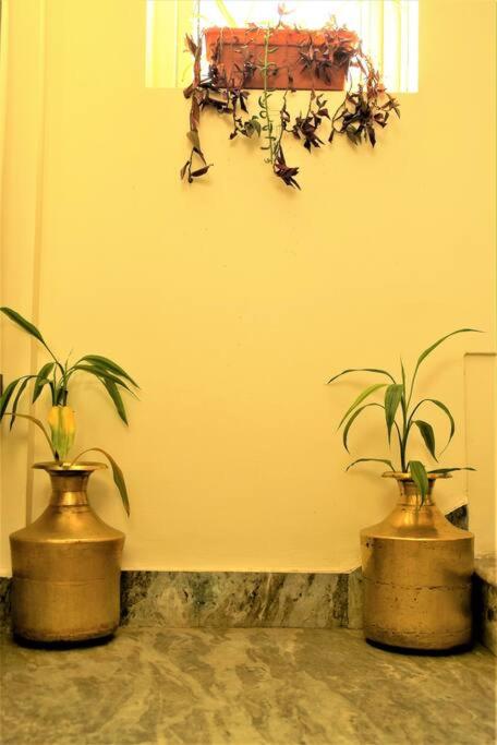 Green Hospitality with two-bed at Thamel, Kathmandu
