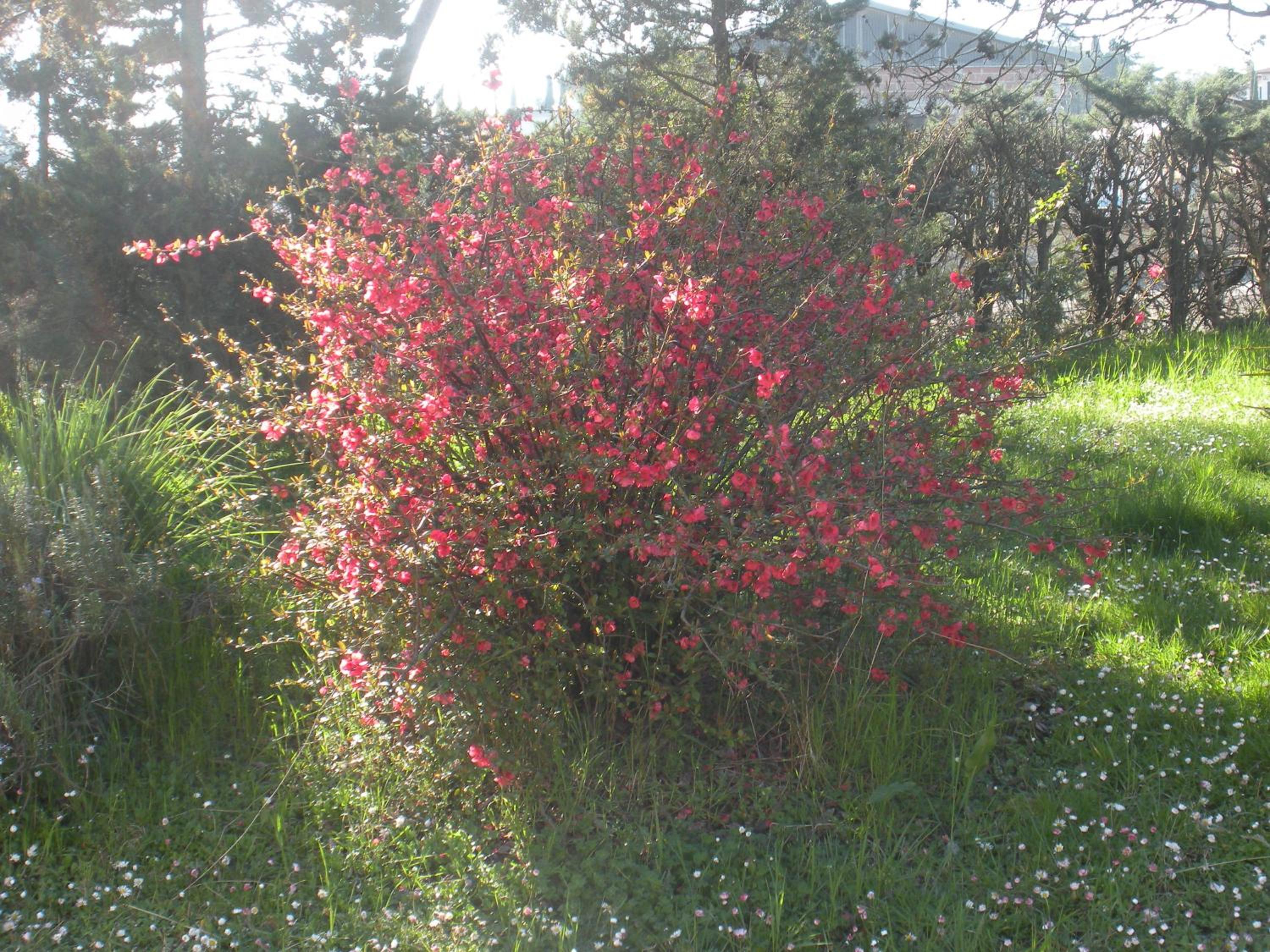 Agriturismo Le Rose