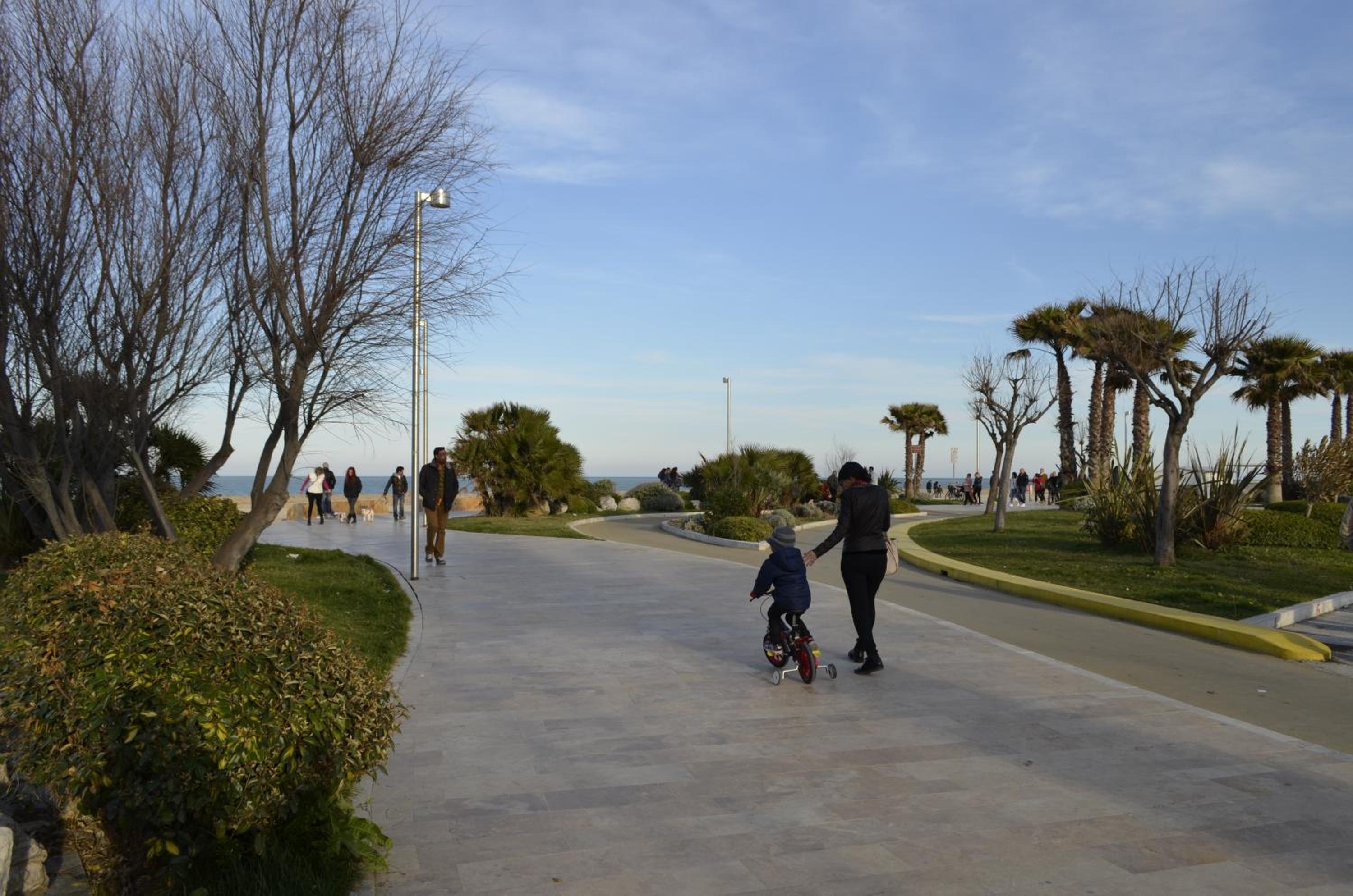 Photo 43