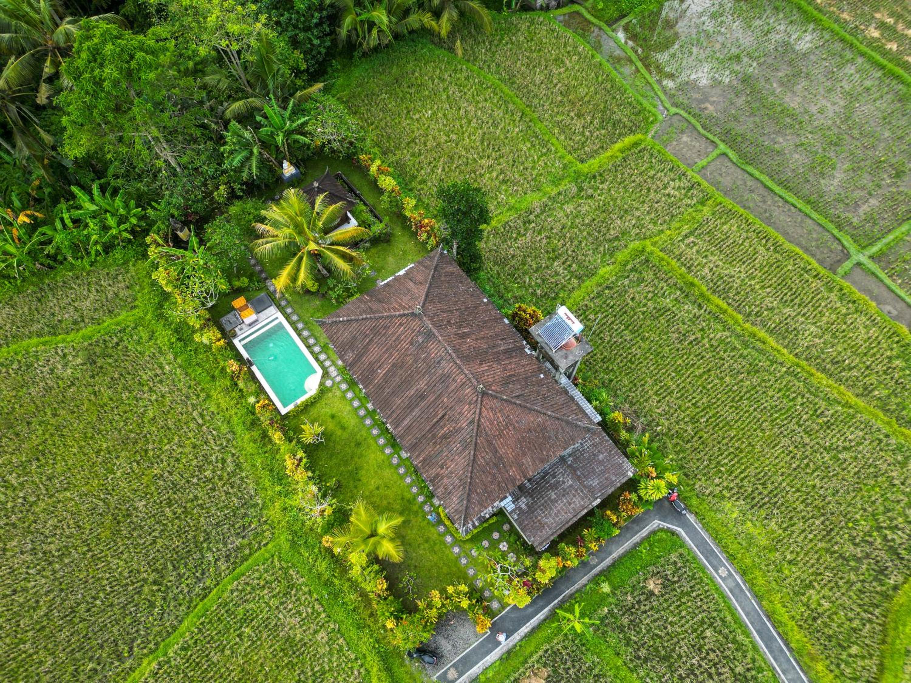 Buddha Homestay