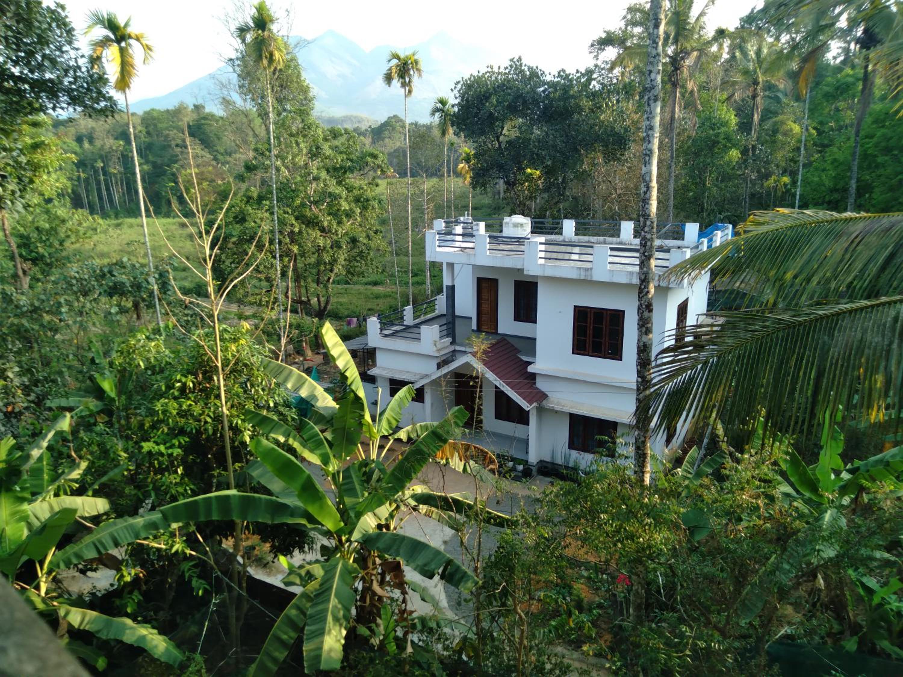 Homely Homes