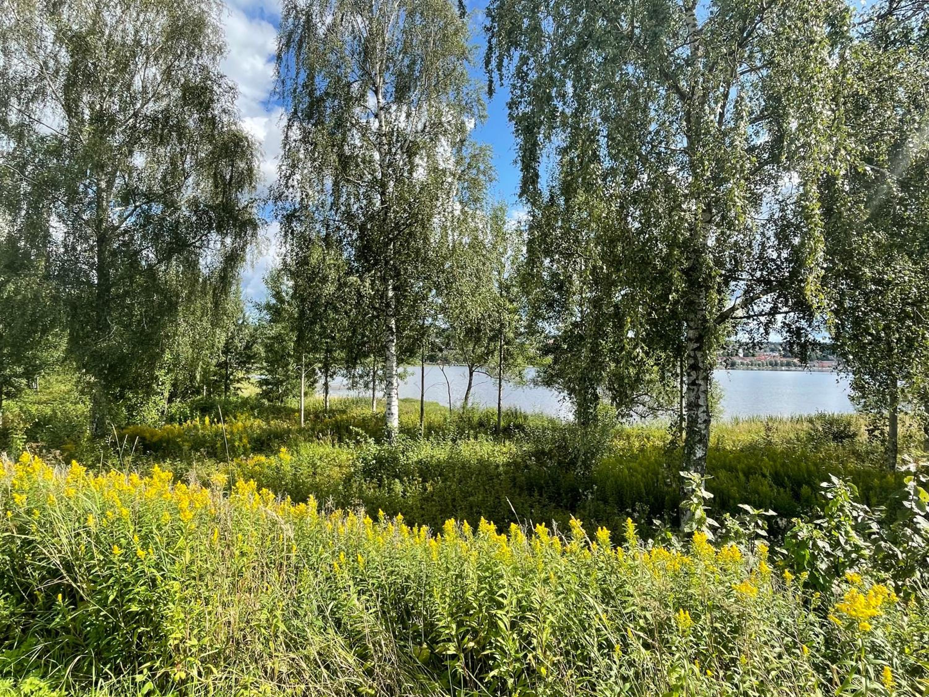 Brunns Lake House view 2