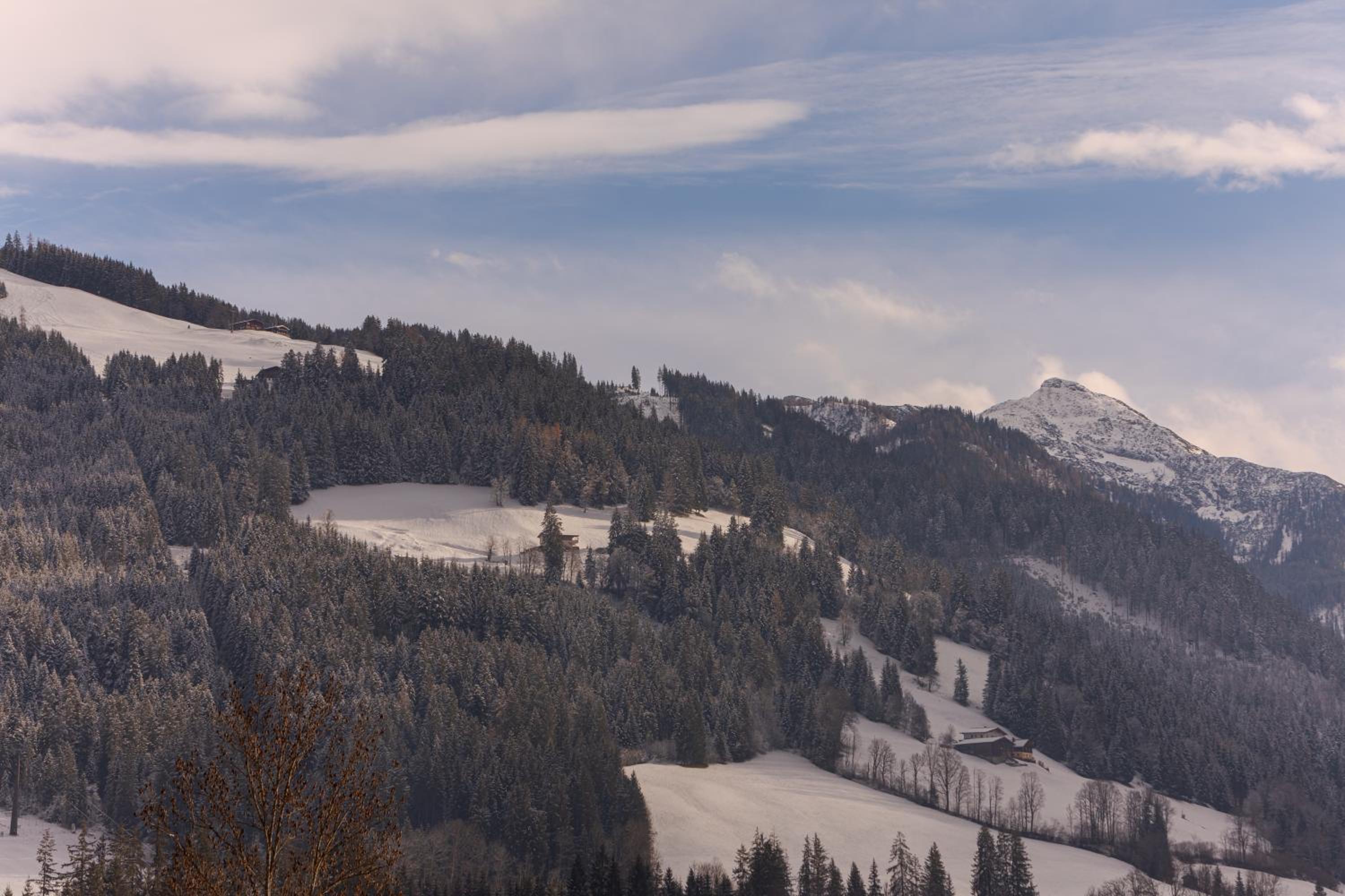 Appartement-Edelweiss