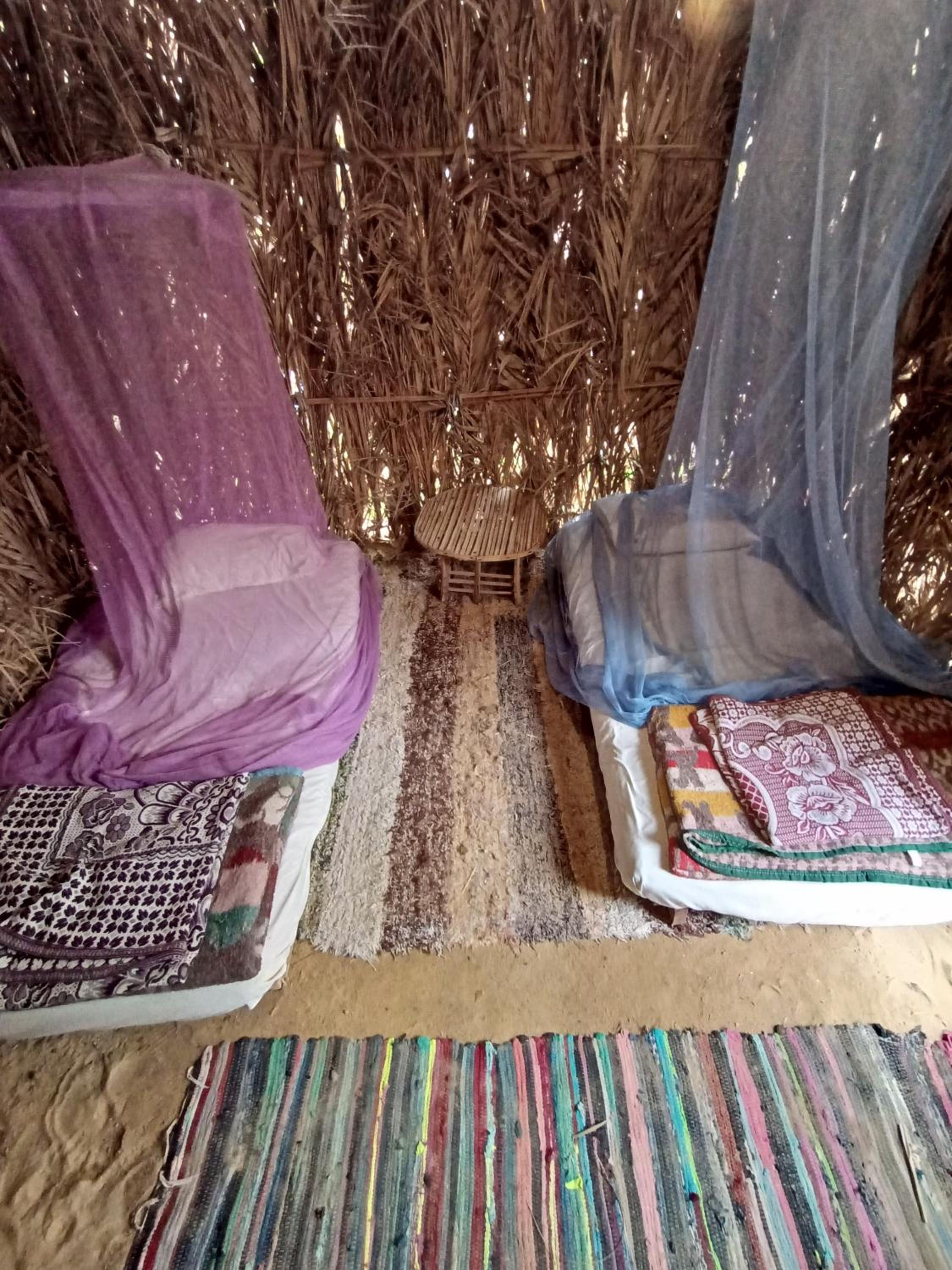 Forest Camp Siwa - كامب الغابة