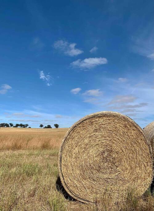 Hillview Country Escape - Magic Views near Historic Maldon