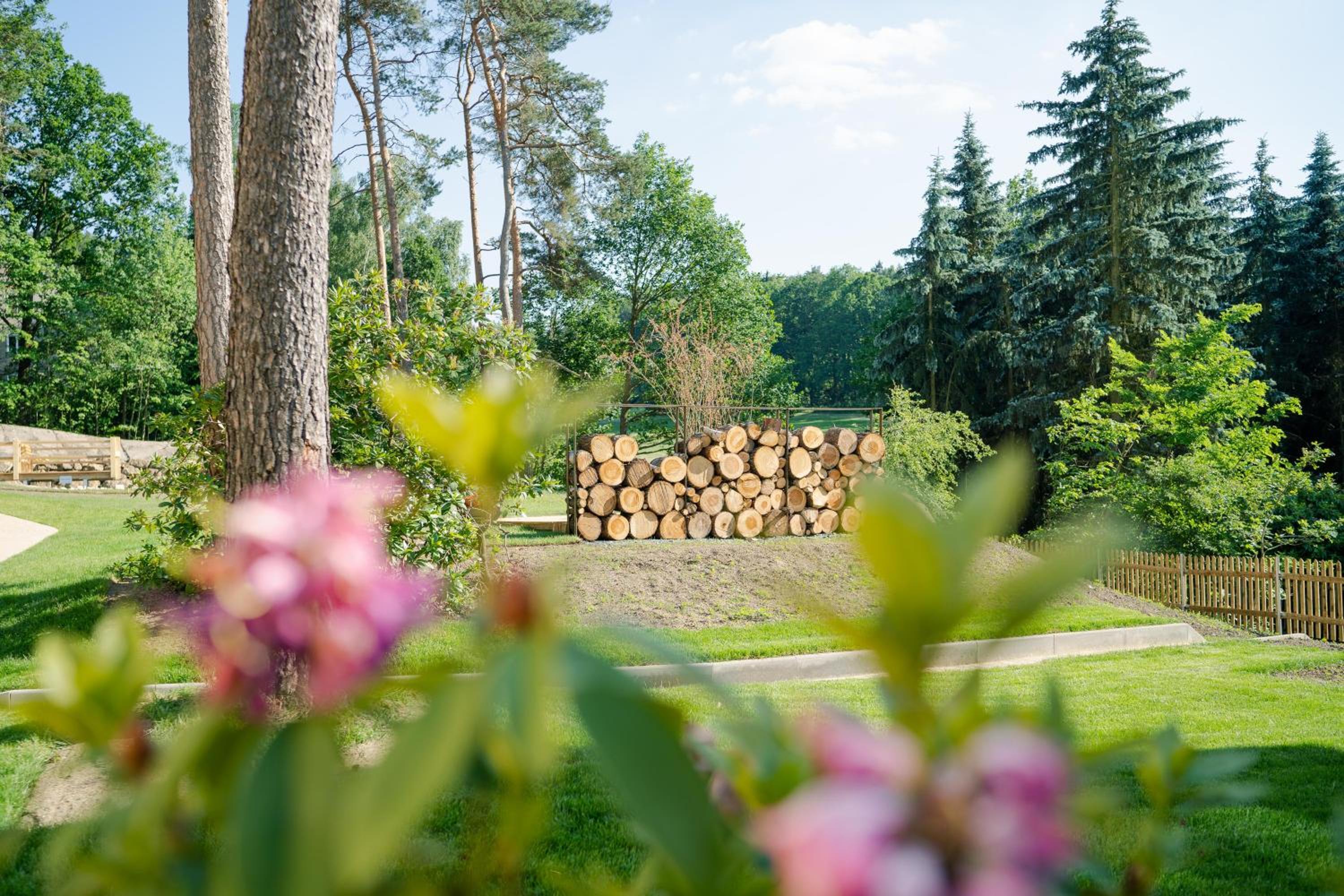 Waldidylle Gohrisch, Pension & Ferienwohnung Garni, Sächsische Schweiz