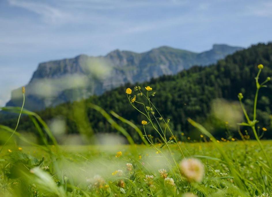 Haus Sonne & SPA