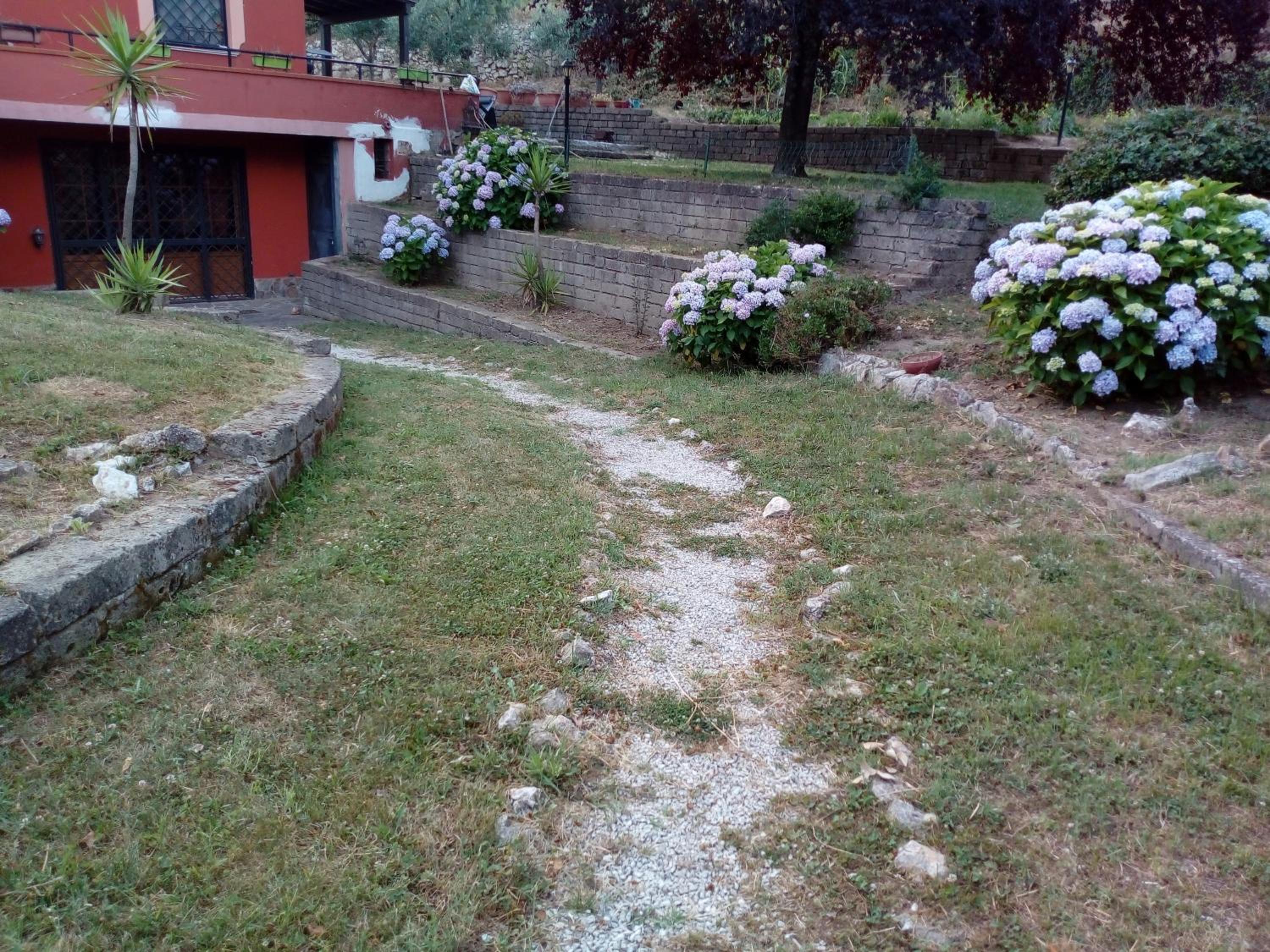 la tana nel bosco view 2