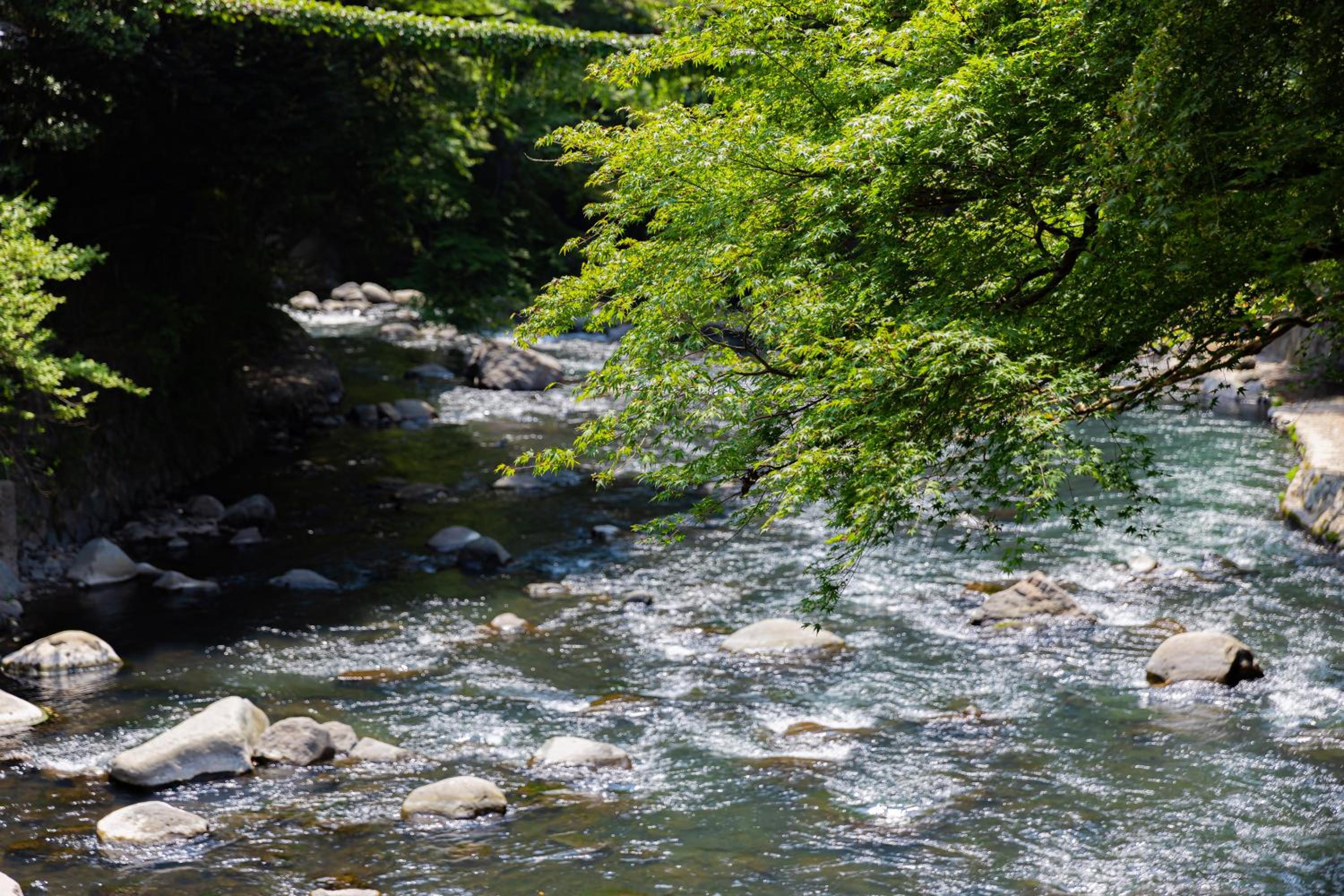 Ichinoyu Honkan