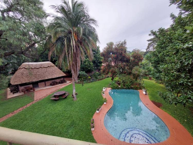 Contemporary spacious guesthouse surrounded with green garden and pool in Mount Pleasant - 2063 view 2