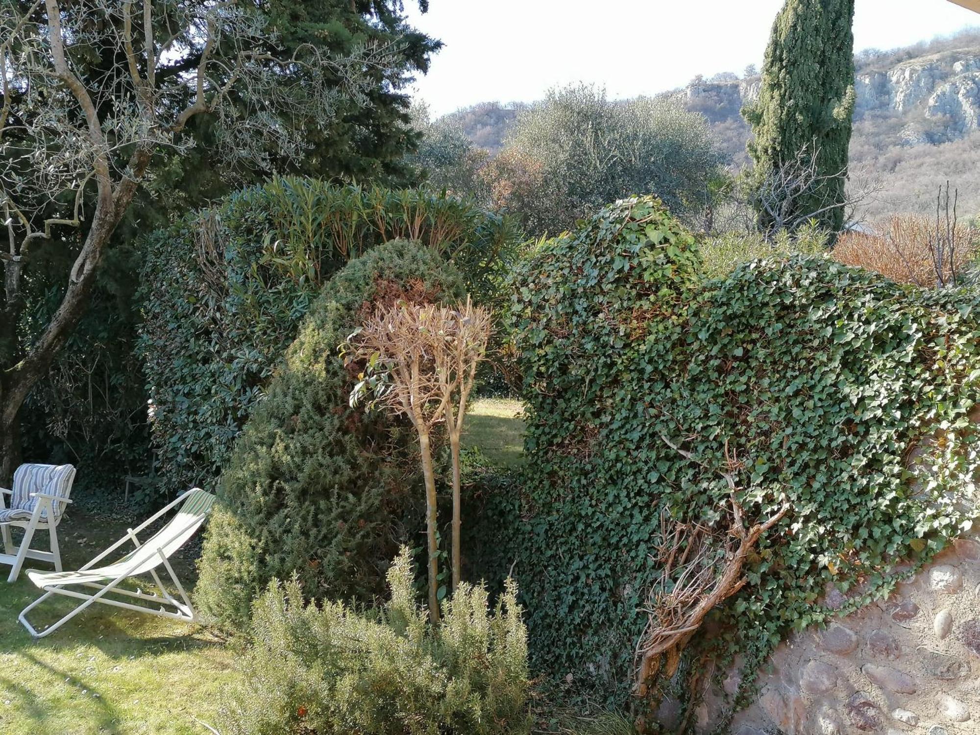 Photo 15