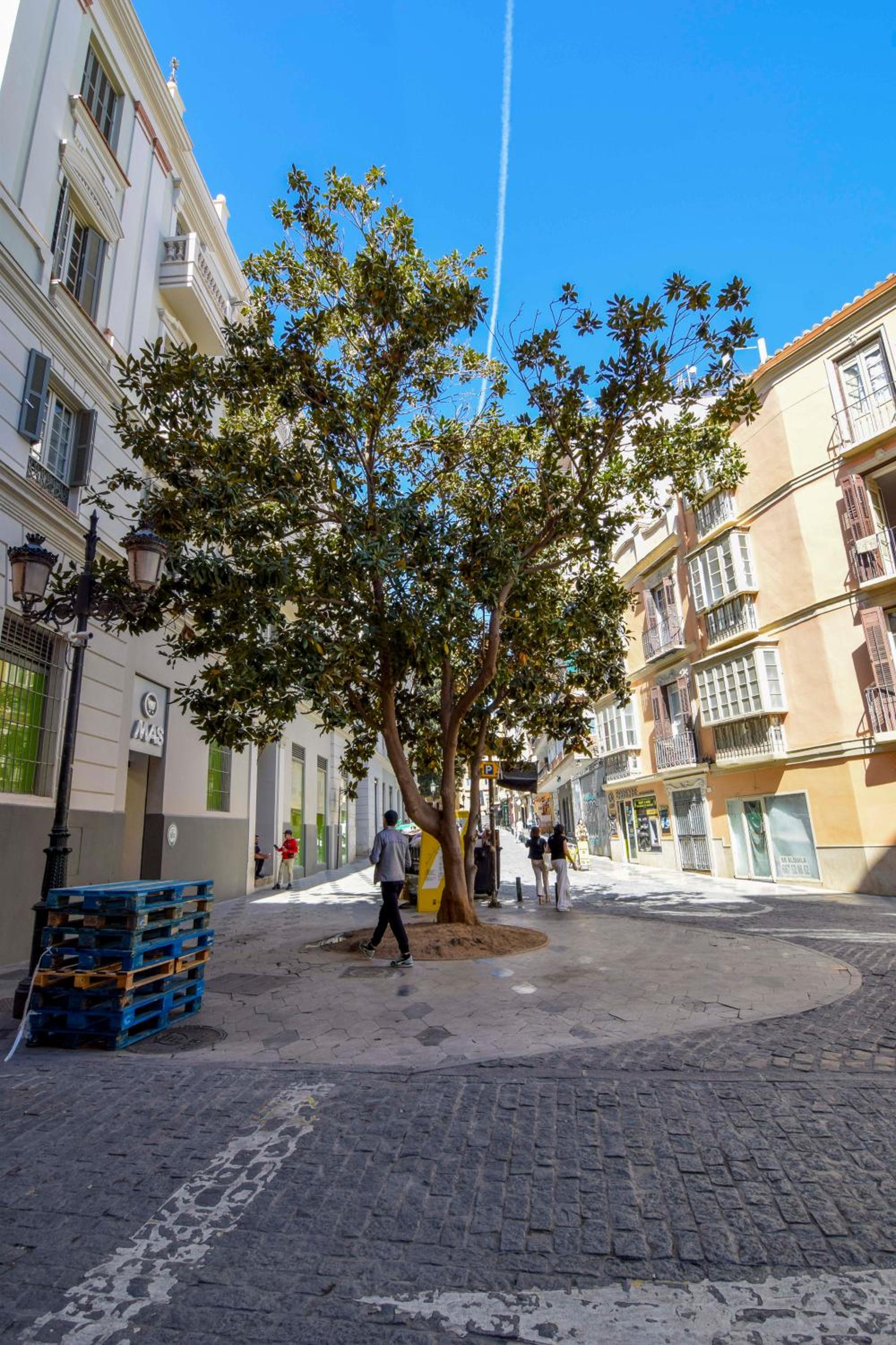 Letmalaga Plaza del Teatro Premium