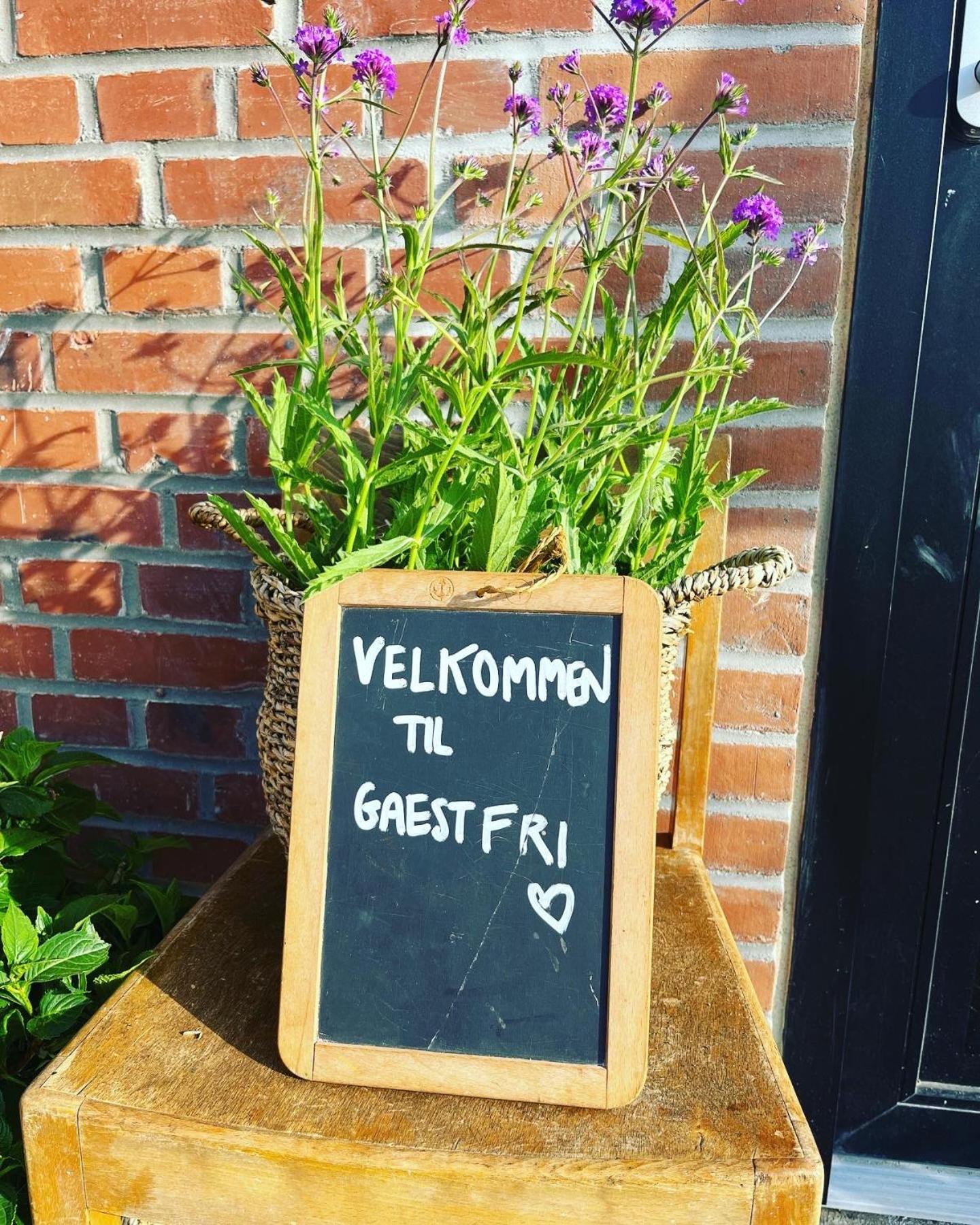 GaestFri Overnatning