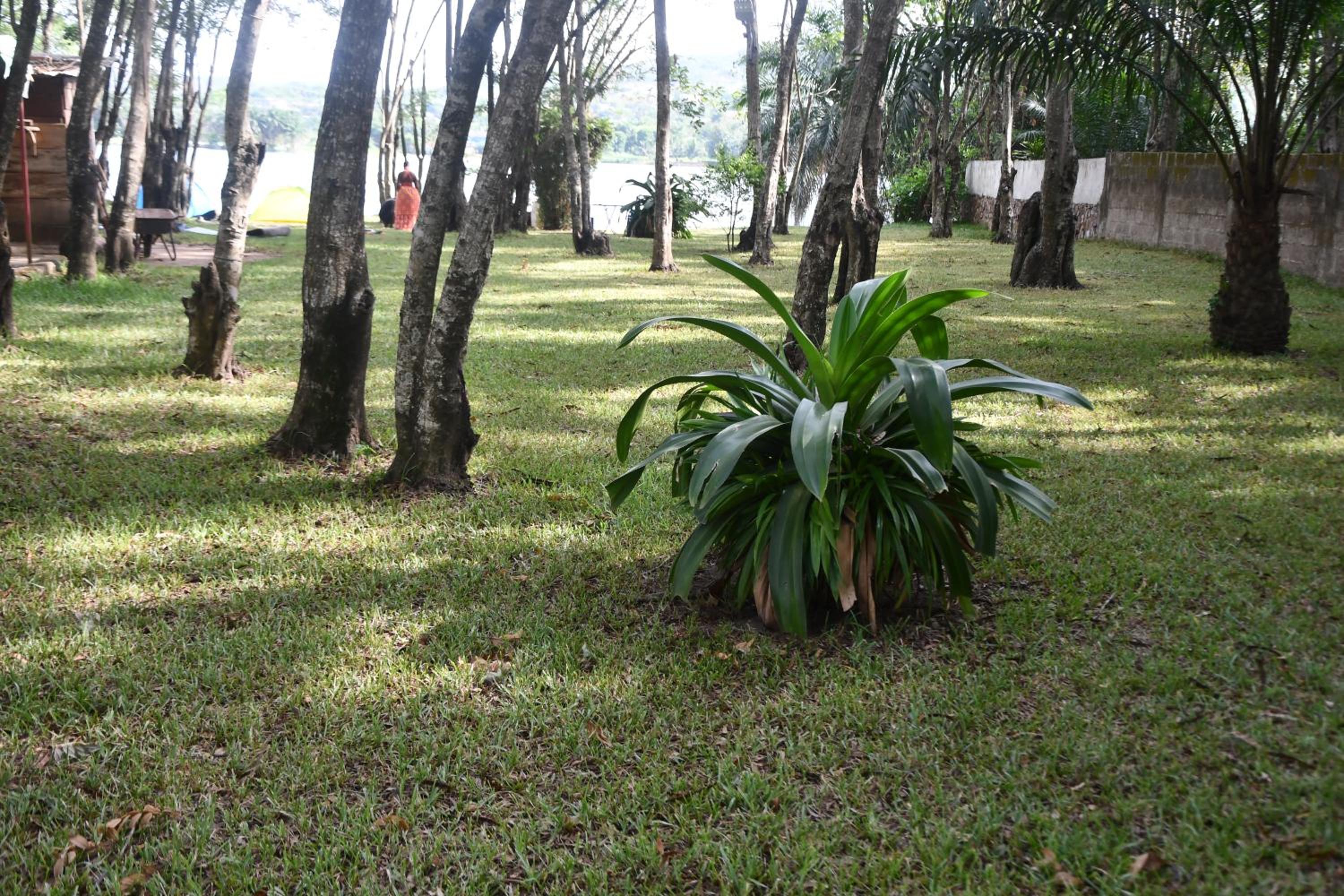 Photo 12