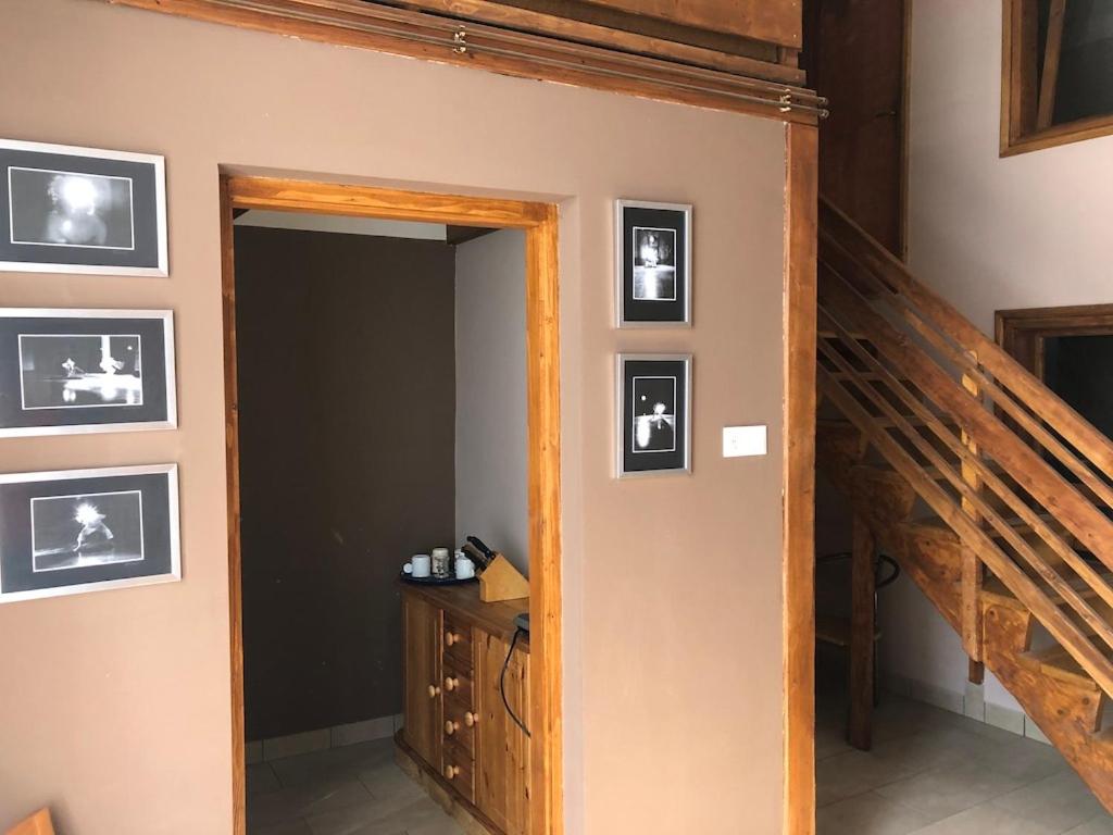 Három Tarka Macska Apartmanok