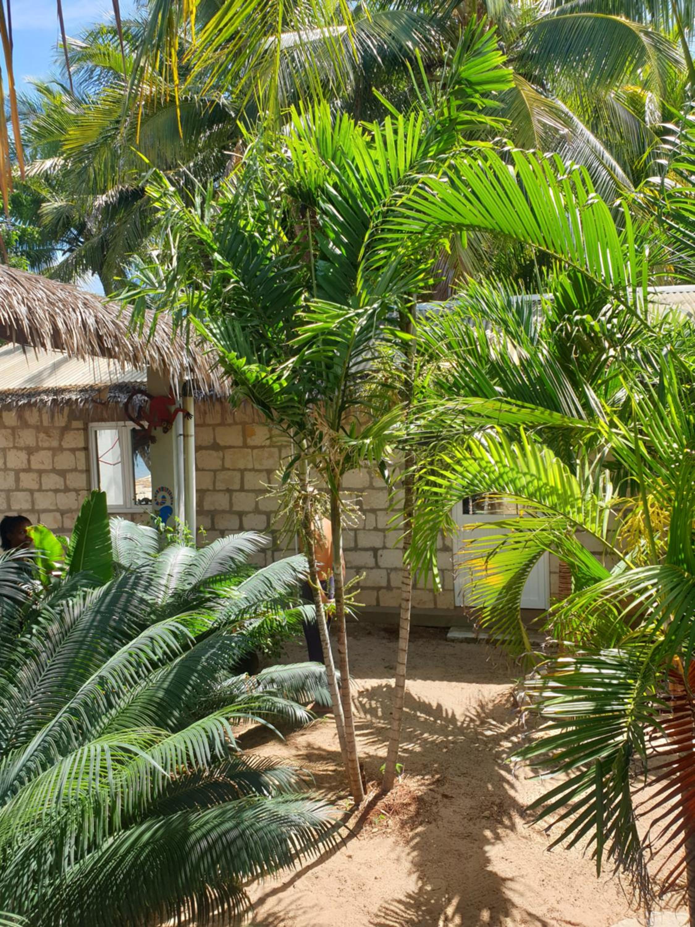 Akwaba Chez les Filles