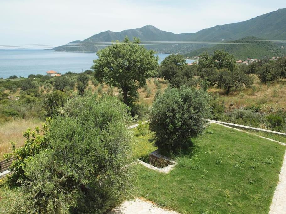 Seaview lovely Villa
