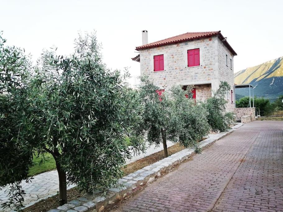 Seaview lovely Villa