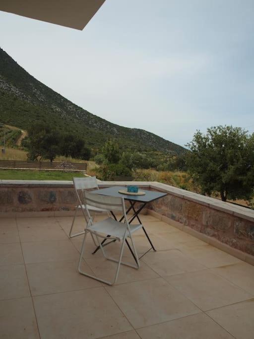 Seaview lovely Villa