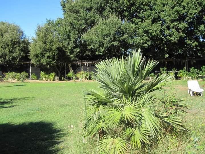 Parco delle streghe view 2
