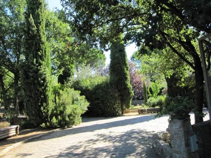Parco delle streghe view 3