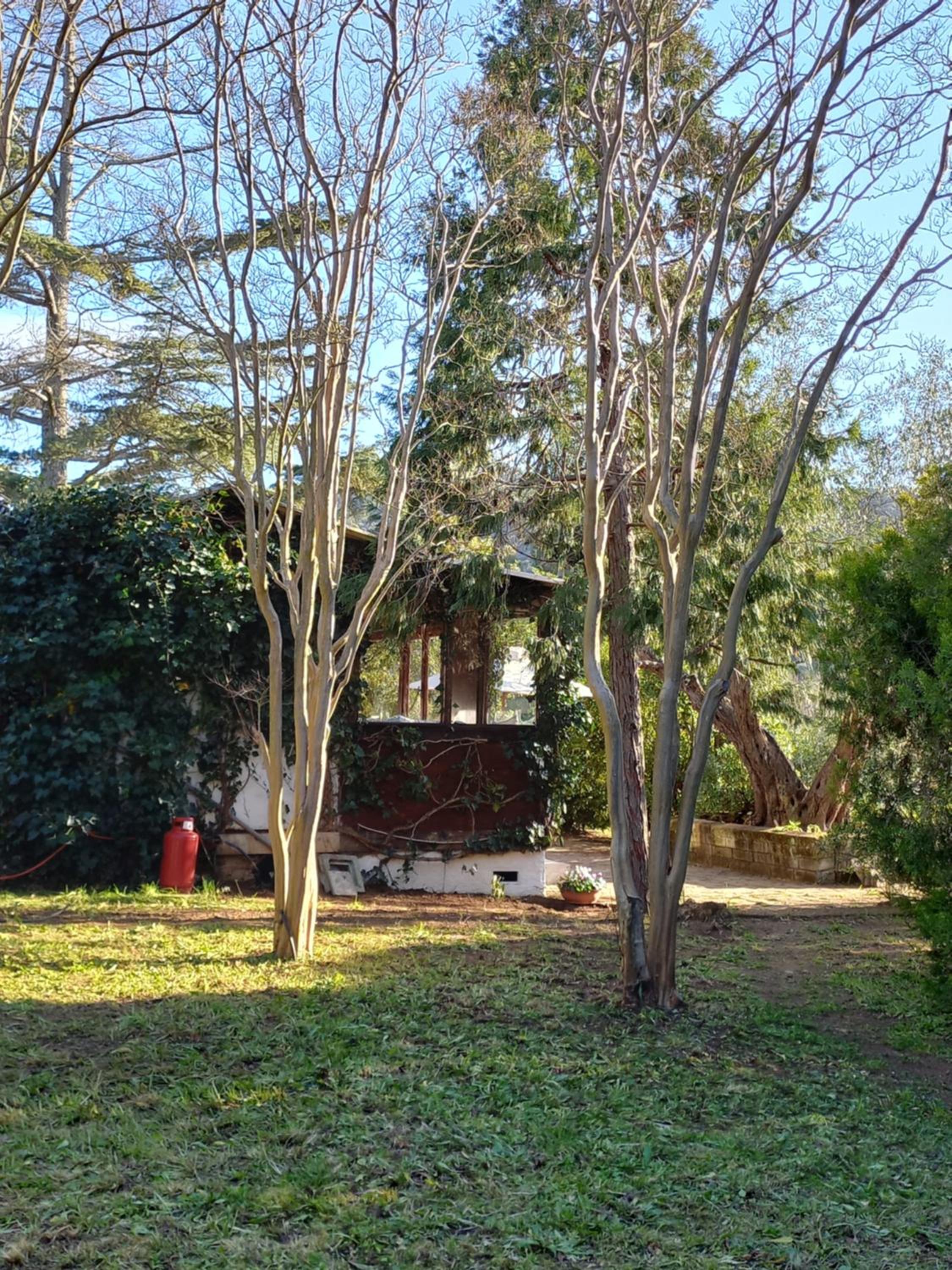 Parco delle streghe view 5